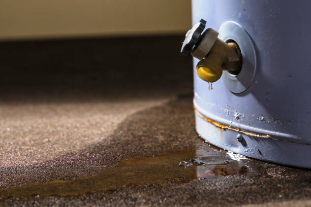 Best Residential water damage restoration  in Nebo, NC
