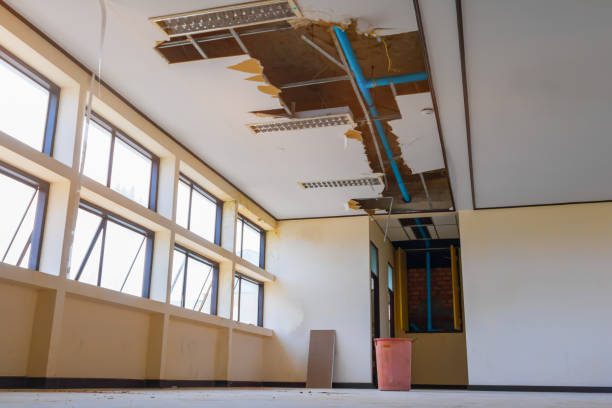 Best Sewage cleanup and water damage restoration  in Nebo, NC