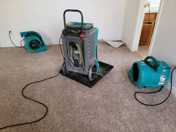 Best Carpet water damage restoration  in Nebo, NC