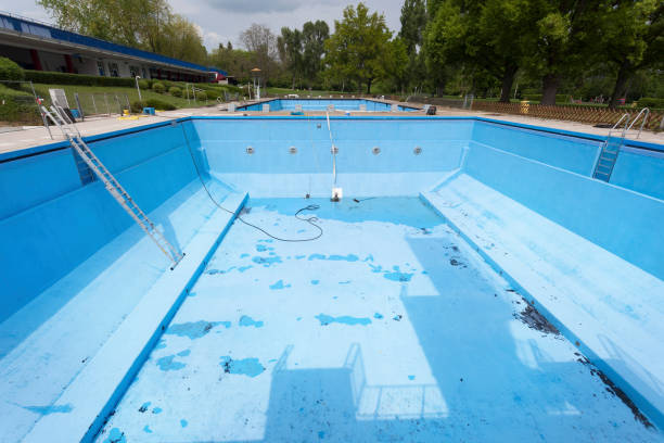 Best Water damage restoration mold remediation  in Nebo, NC