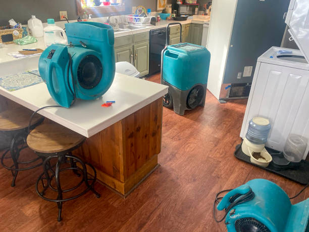Best Water damage restoration near me  in Nebo, NC