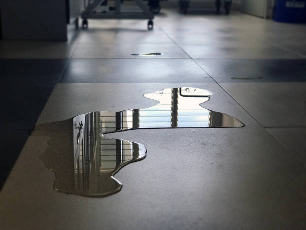 Best Professional water damage repair  in Nebo, NC