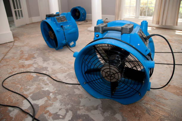 Best Water damage restoration services  in Nebo, NC