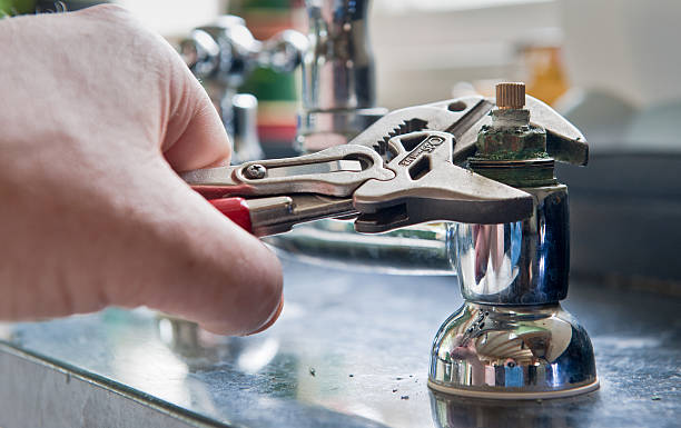 Best Professional water damage repair  in Nebo, NC