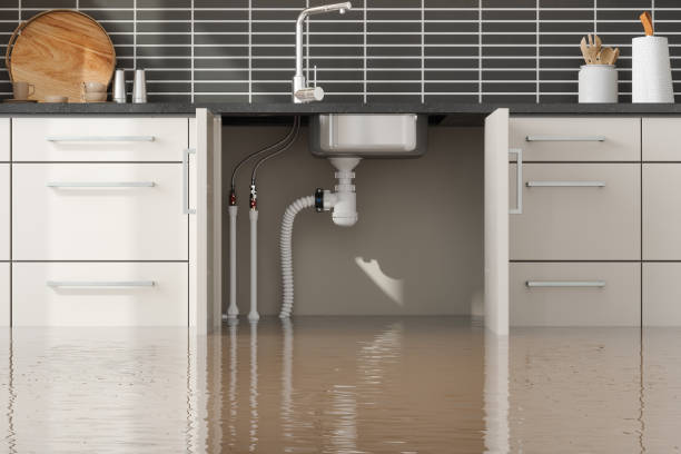Trusted Nebo, NC Water damage restoration Experts